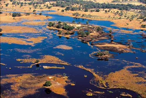 Das Okavango Delta in Botswana