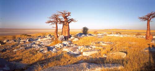 Botswana Overland