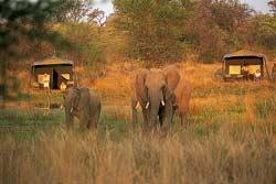 Zelten in Simbabwe