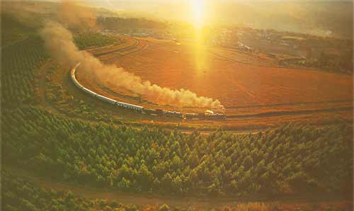 Rovos Rails - Mit Dampf durch das südliche Afrika!
