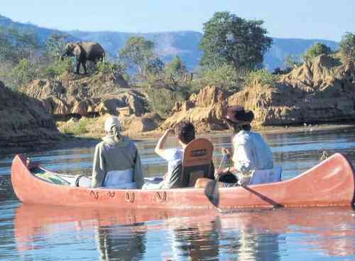 Elefanten gibt es häufiger zu sehen, zumal vom Kanu aus.