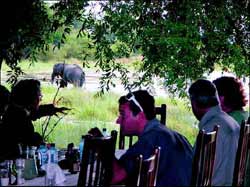 in manchen Safaricamps müssen sich die Gäste für spannende Wildbeobachtungen nicht einmal vom Tisch erheben