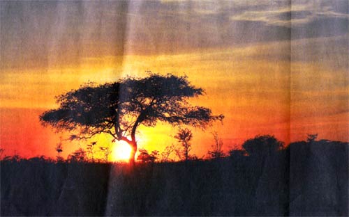 Die Wildnis erwacht: in der Serengeti geht die Sonne auf - dafür braucht sie in Afrika gerade einmal zwei bis drei Minuten