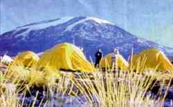 Auch von den Camps aus kann man ihn sehen, den Schnee auf dem Kilimandscha­ro, in den sich schon mancher Tiger tödlich verirrt hat. 