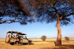 Mit dem Jeep auf Safari